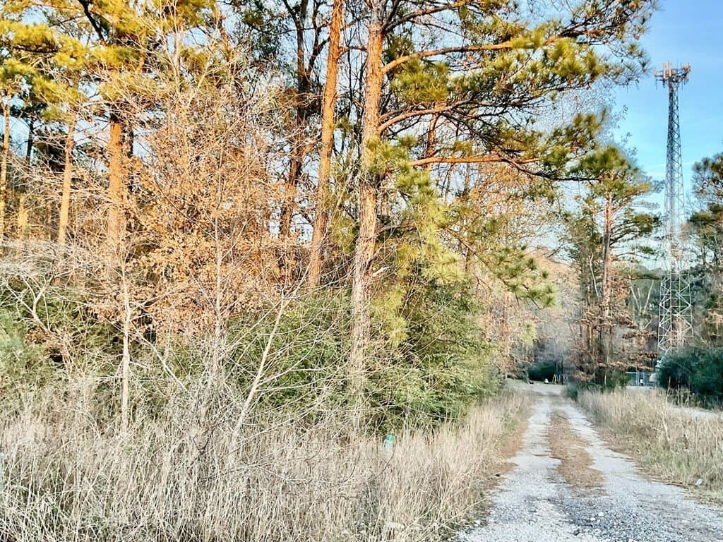 2.21 acres in Texas County - photo 10