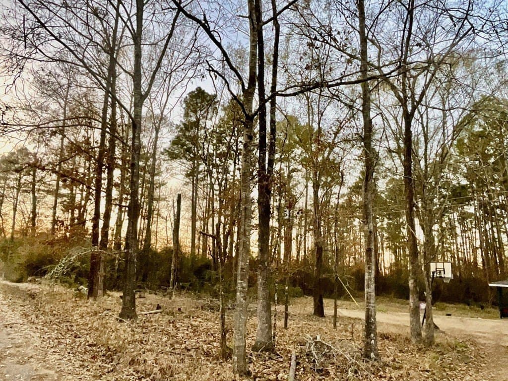 2.21 acres in Texas County - photo 4