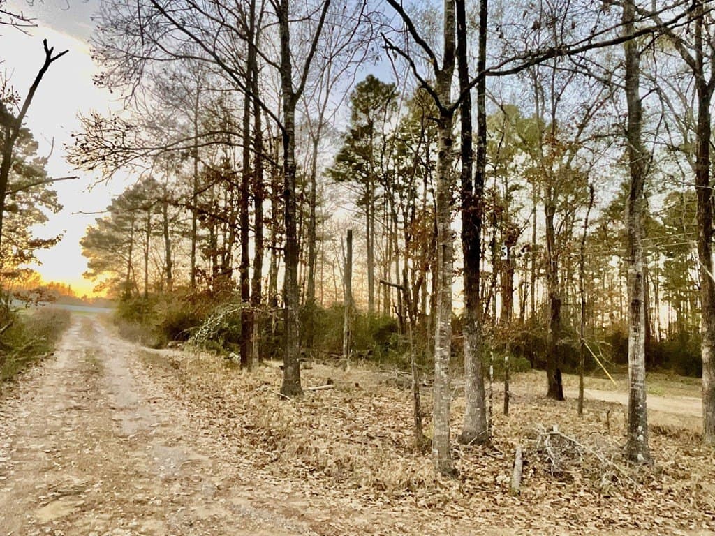 2.21 acres in Texas County - photo 3