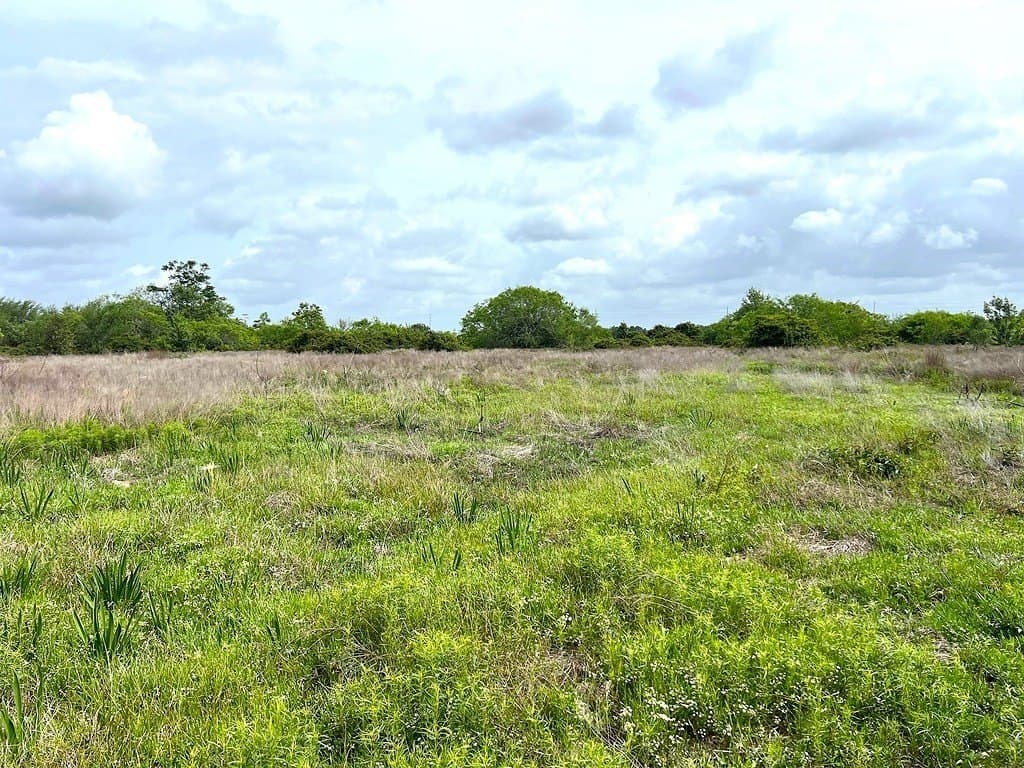 49.77 acres in Austin County gallery image 4