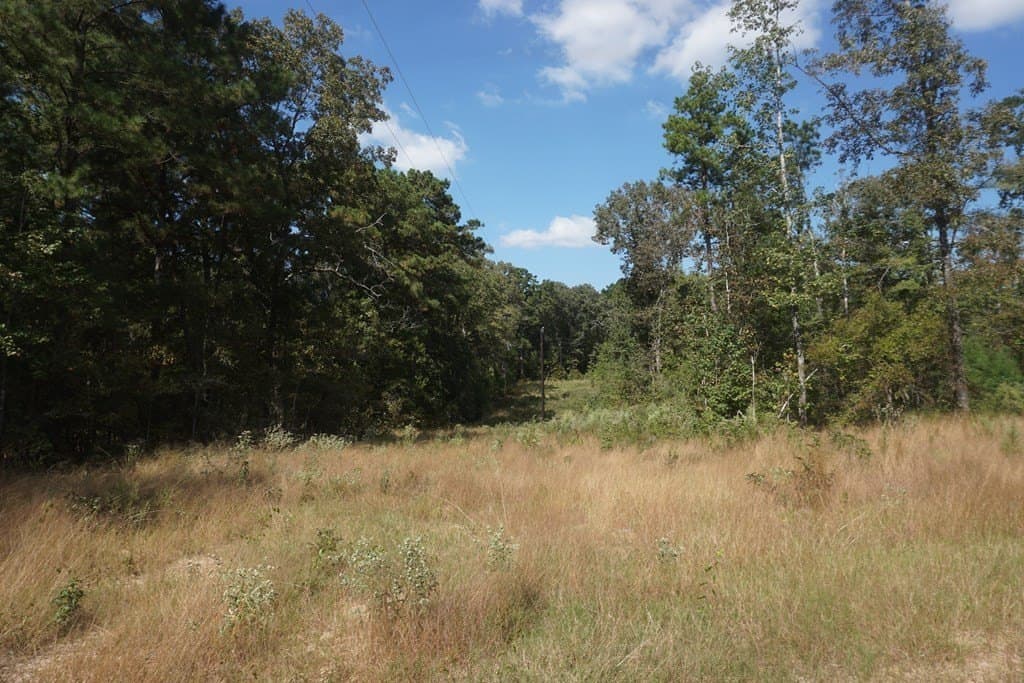 10.1 acres in ANDERSON County - photo 15