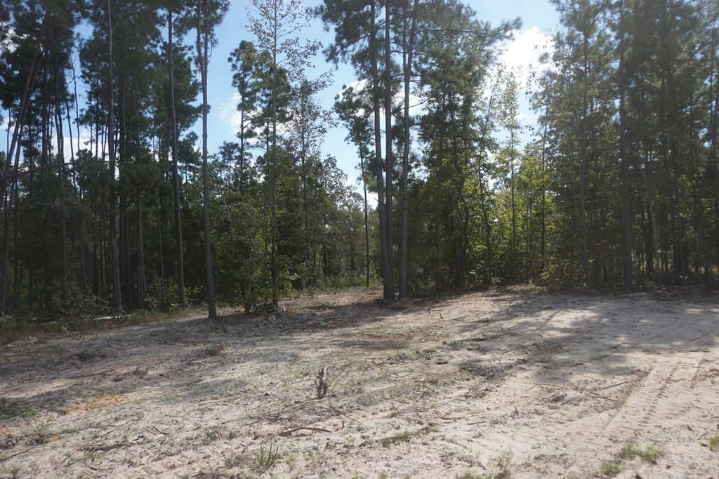 10.1 acres in ANDERSON County - photo 8
