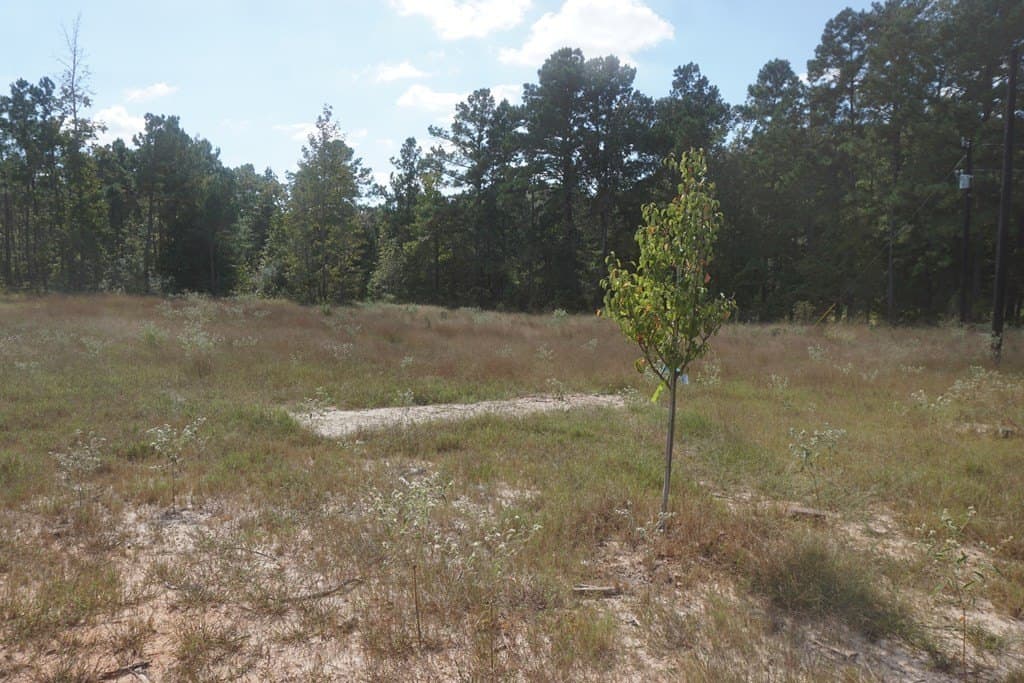 10.1 acres in ANDERSON County - photo 6
