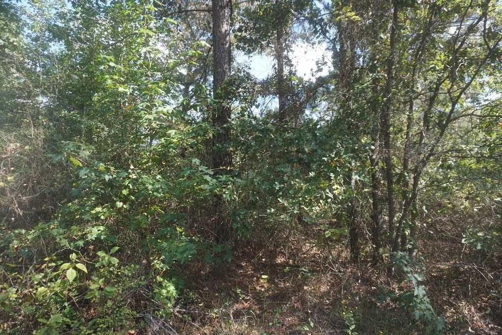 10.1 acres in ANDERSON County - photo 9