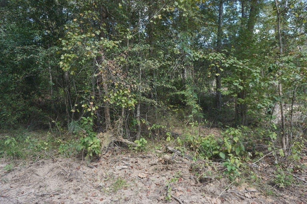 10.1 acres in ANDERSON County - photo 13