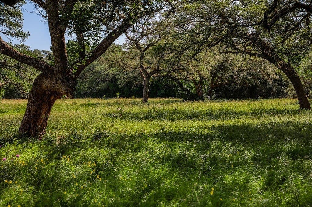 8.93 acres in Fayette County featured view