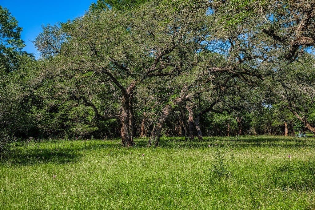 8.93 acres in Fayette County gallery image 4