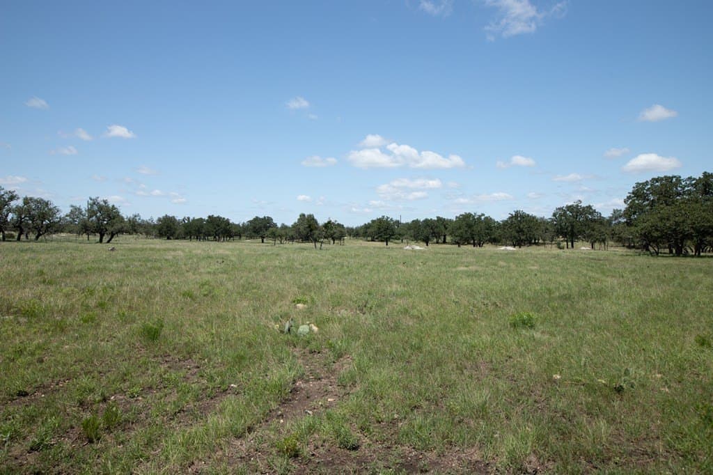 24.73 acres in Gillespie County gallery image 4