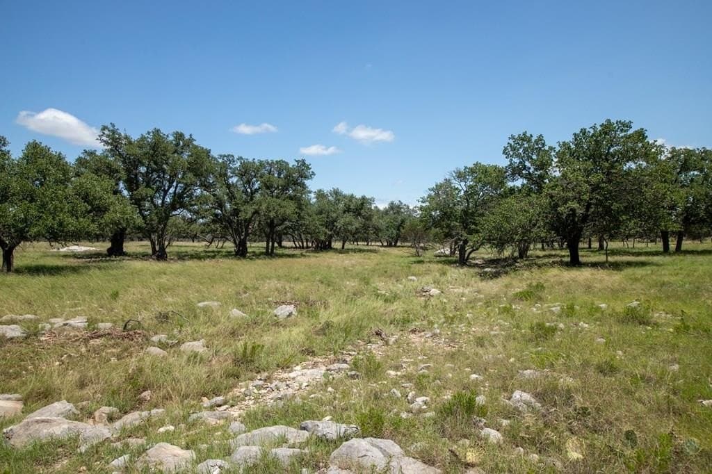 24.73 acres in Gillespie County gallery image 2