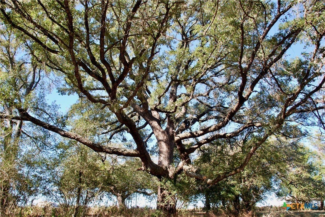 46 acres in Fayette County gallery image 4