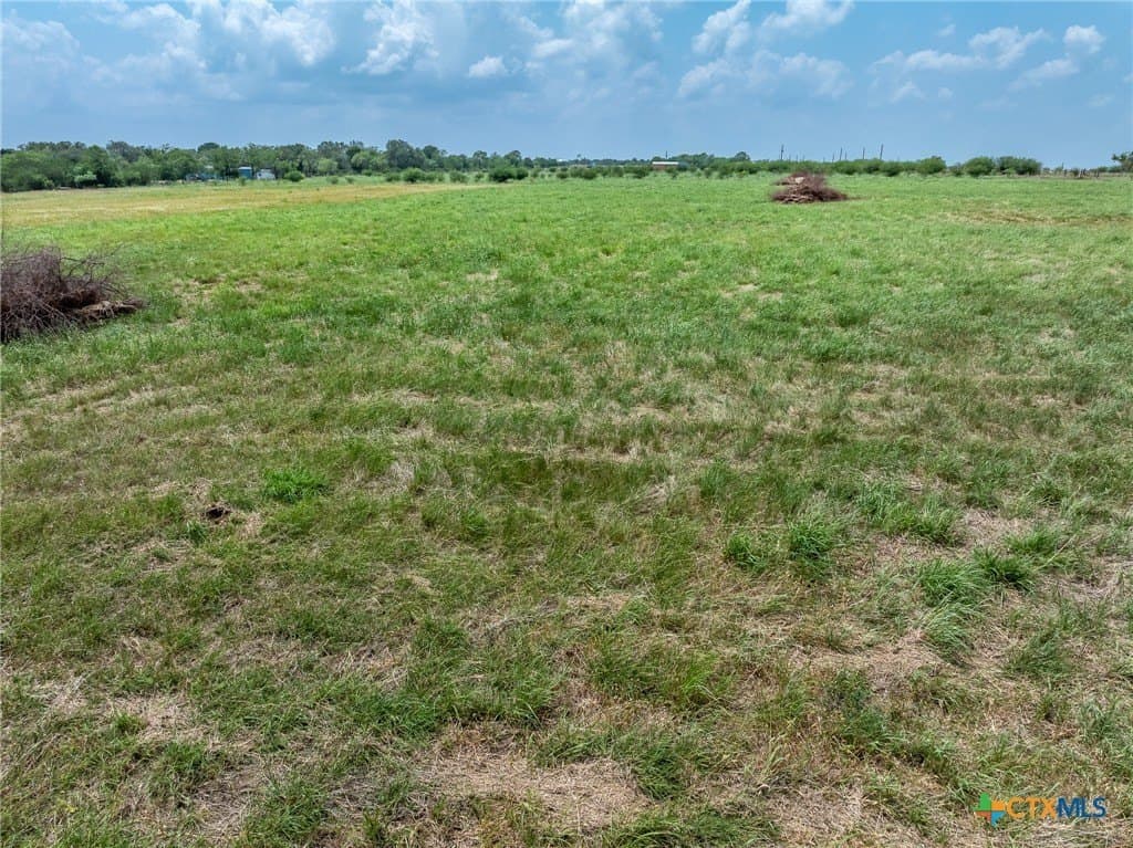 4 acres in Gonzales County gallery image 4