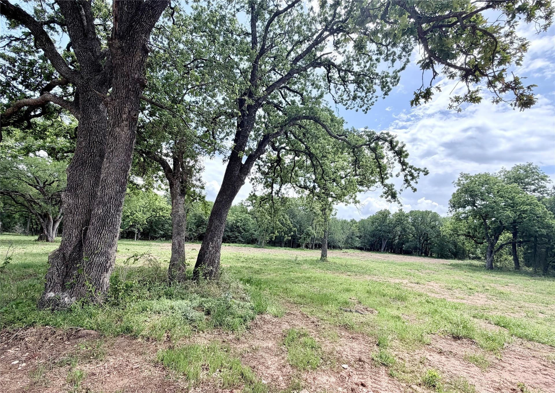 5 acres in Hill County gallery image 3