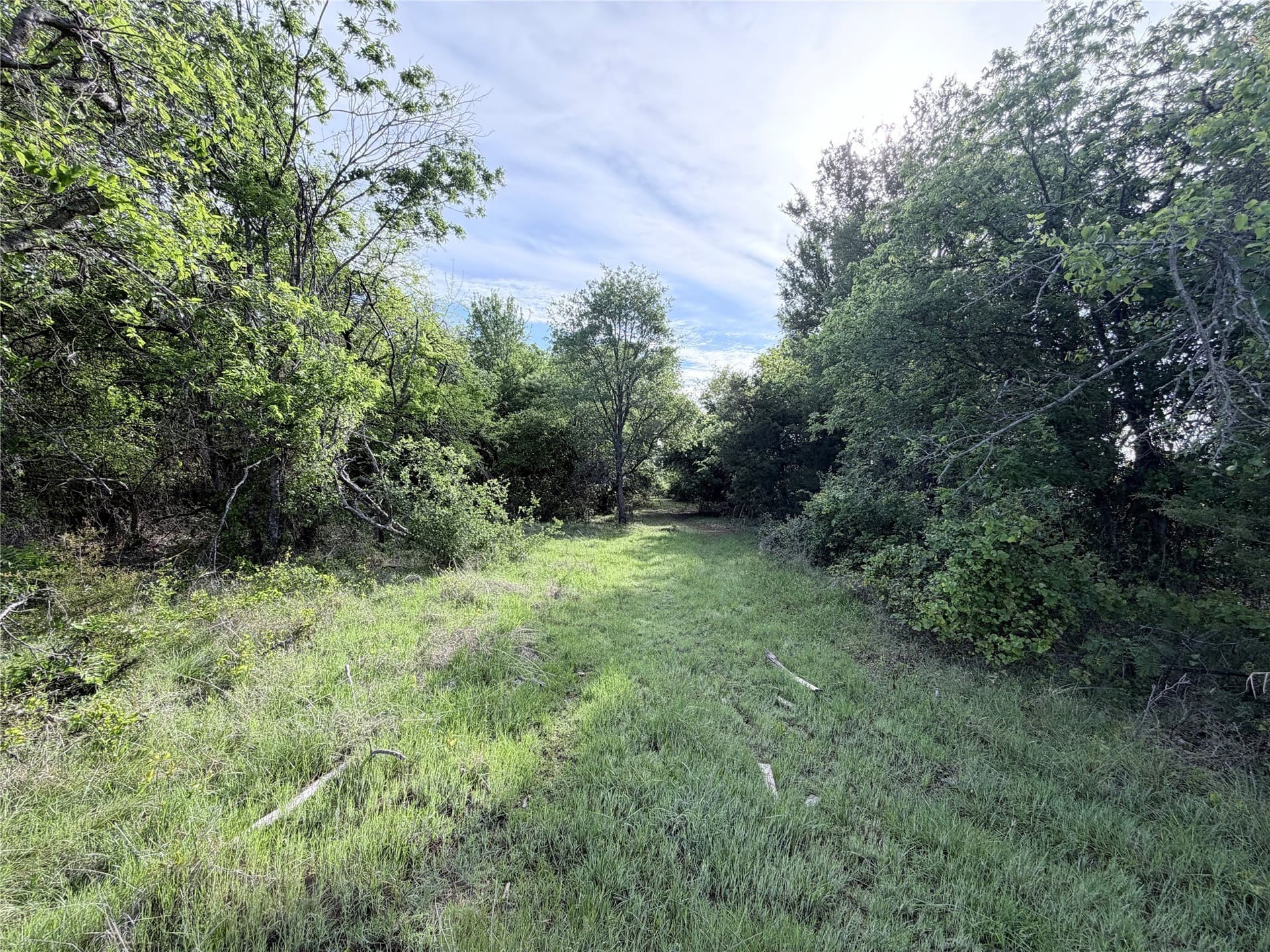 5 acres in Hill County featured view