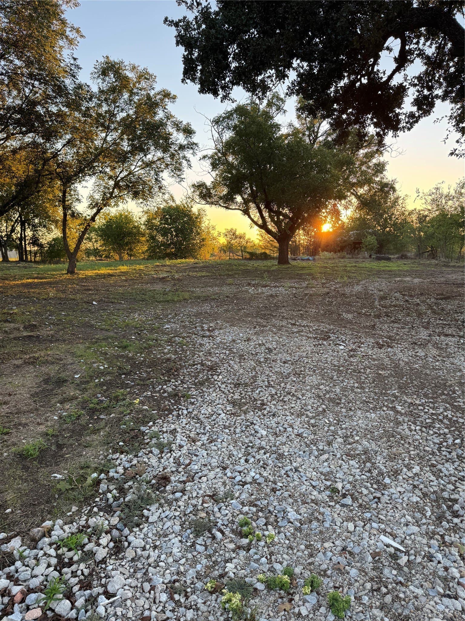 10 acres in Kaufman County - photo 22