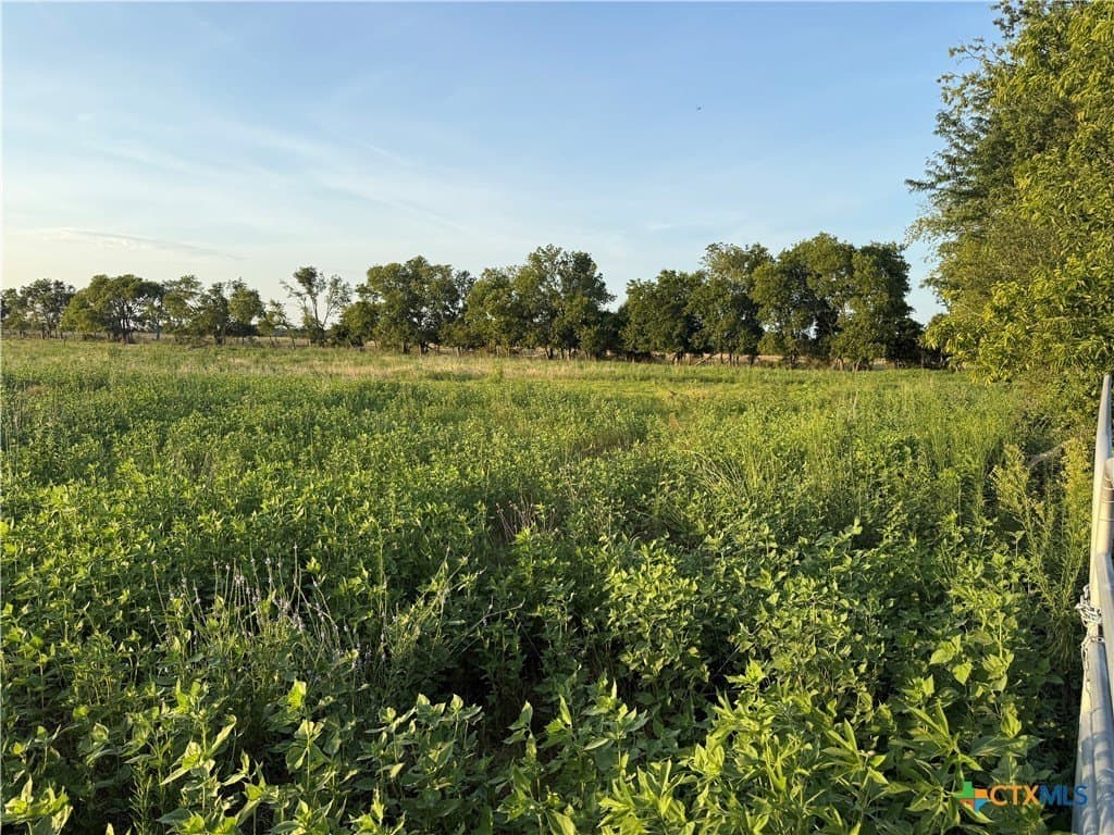 2 acres in Falls County - photo 4