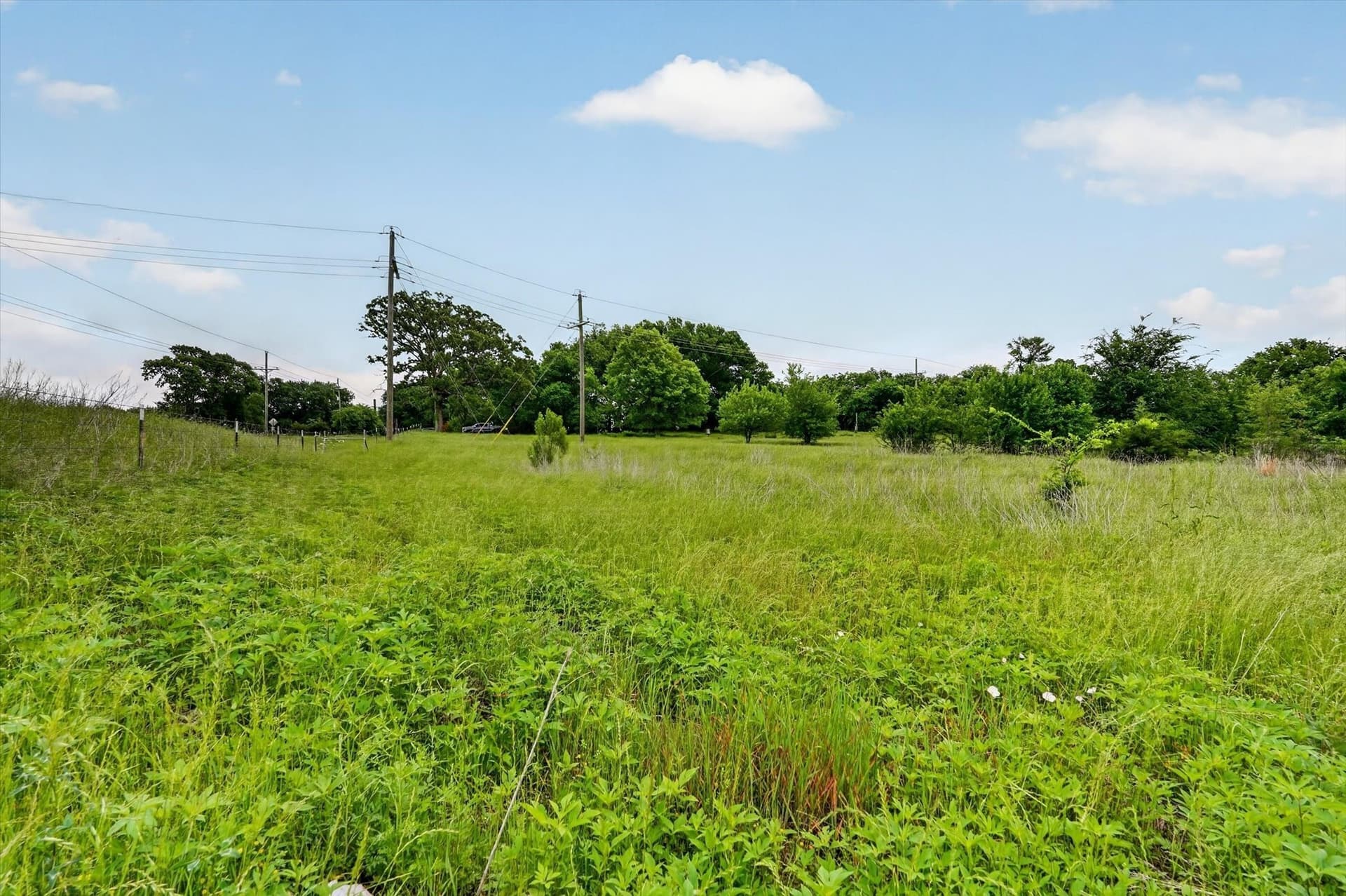 1.7 acres in Fannin County - photo 8
