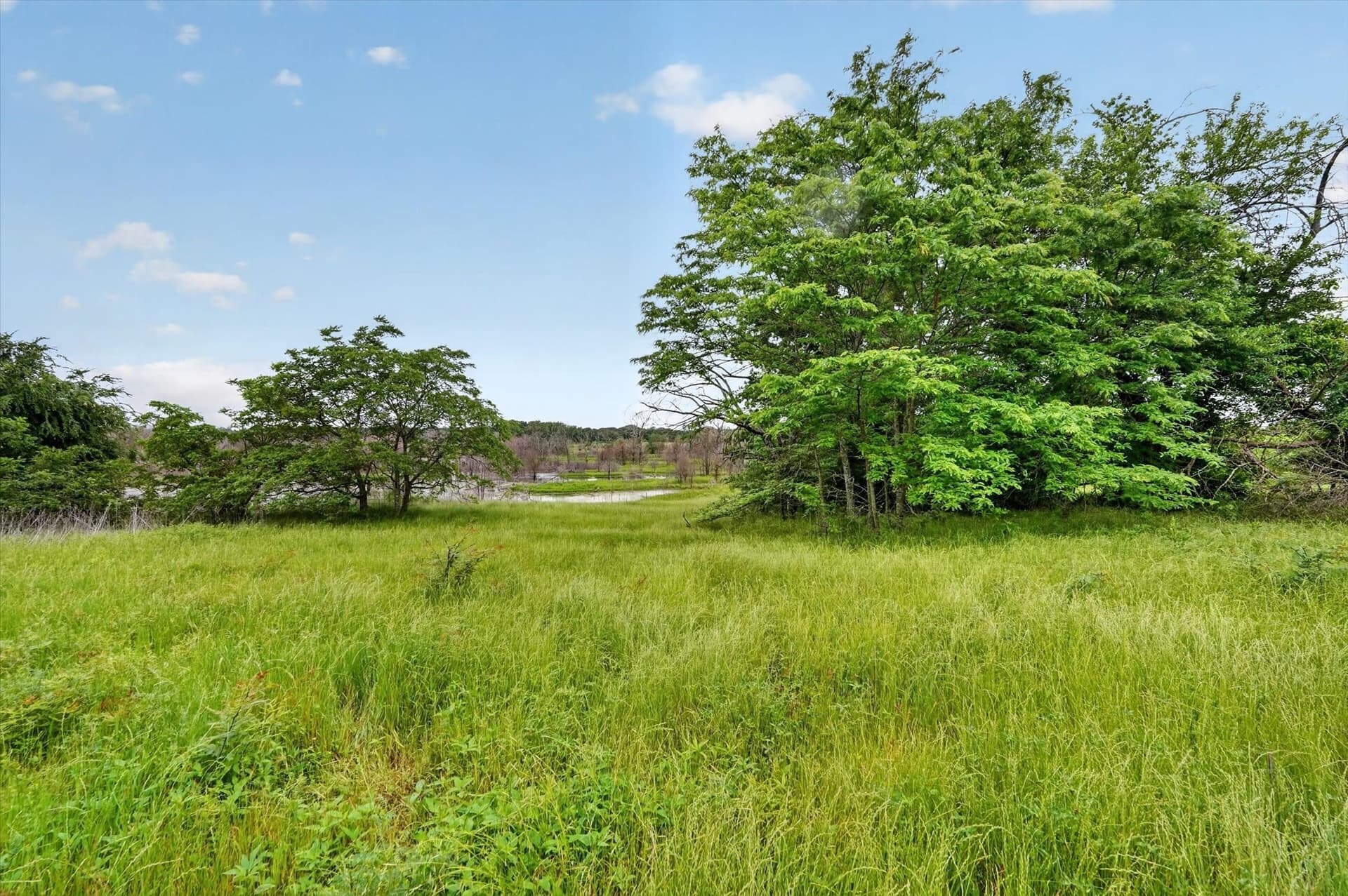 1.7 acres in Fannin County - photo 4
