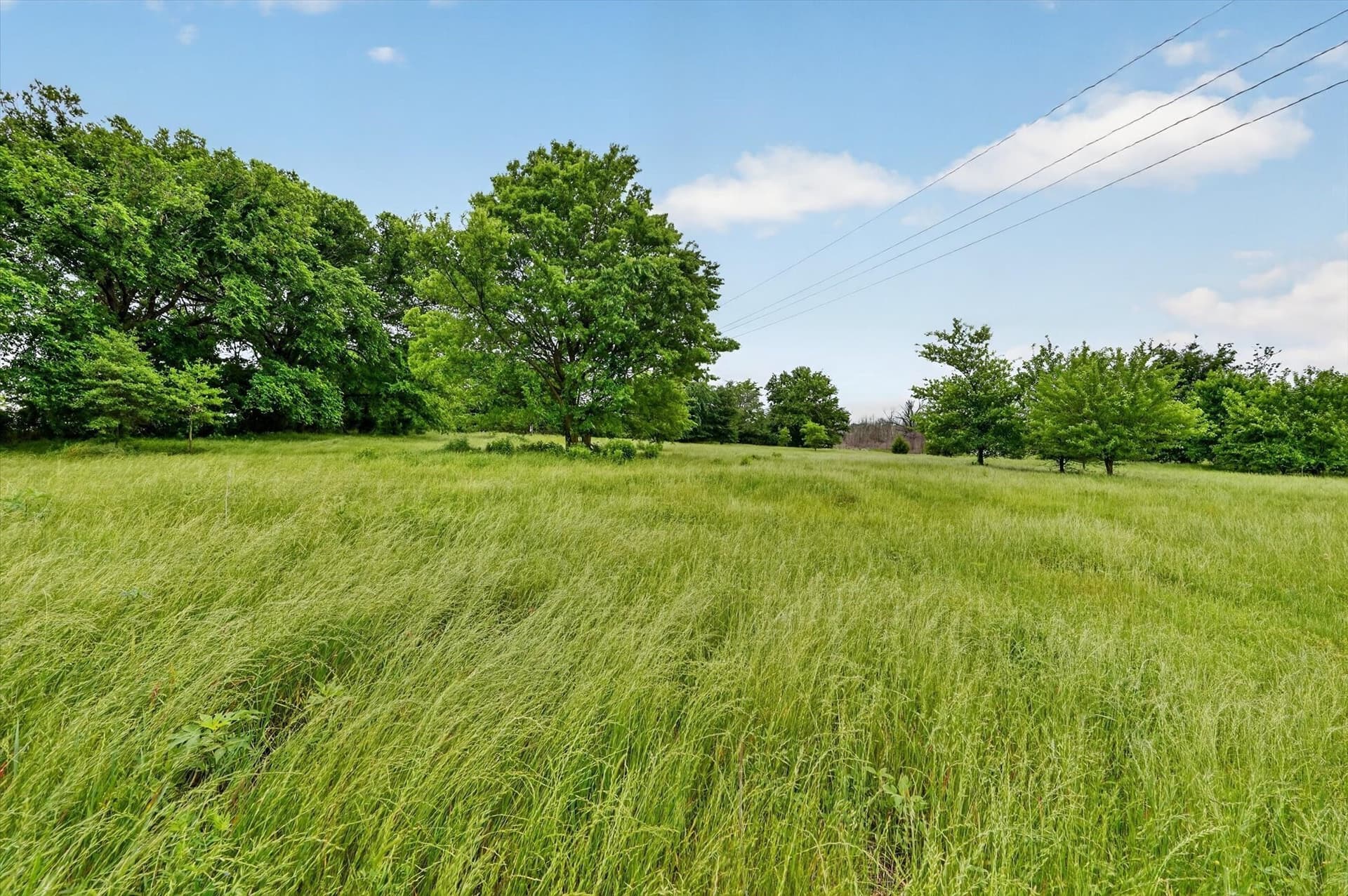 1.7 acres in Fannin County - photo 7