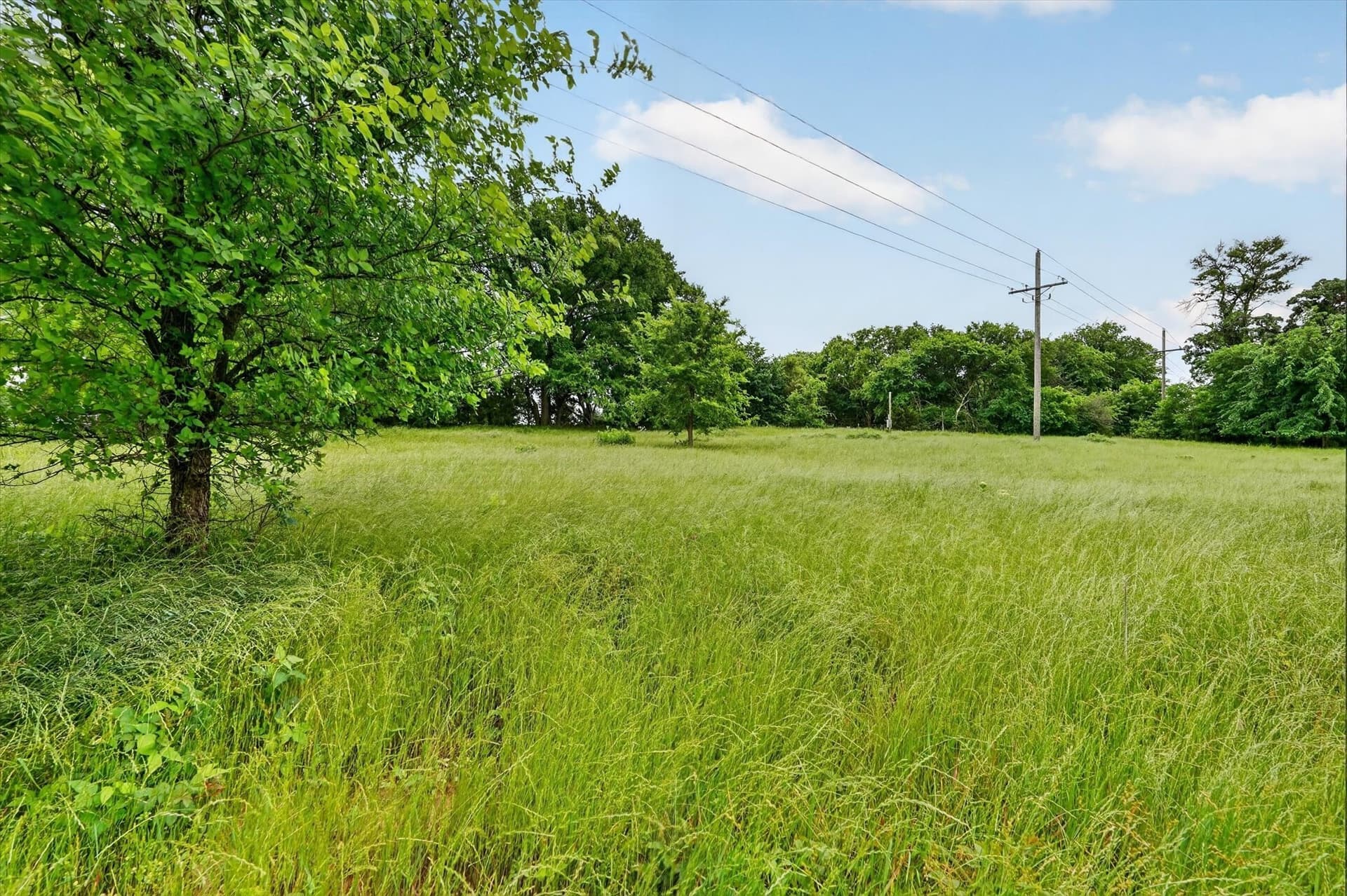 1.7 acres in Fannin County - photo 9
