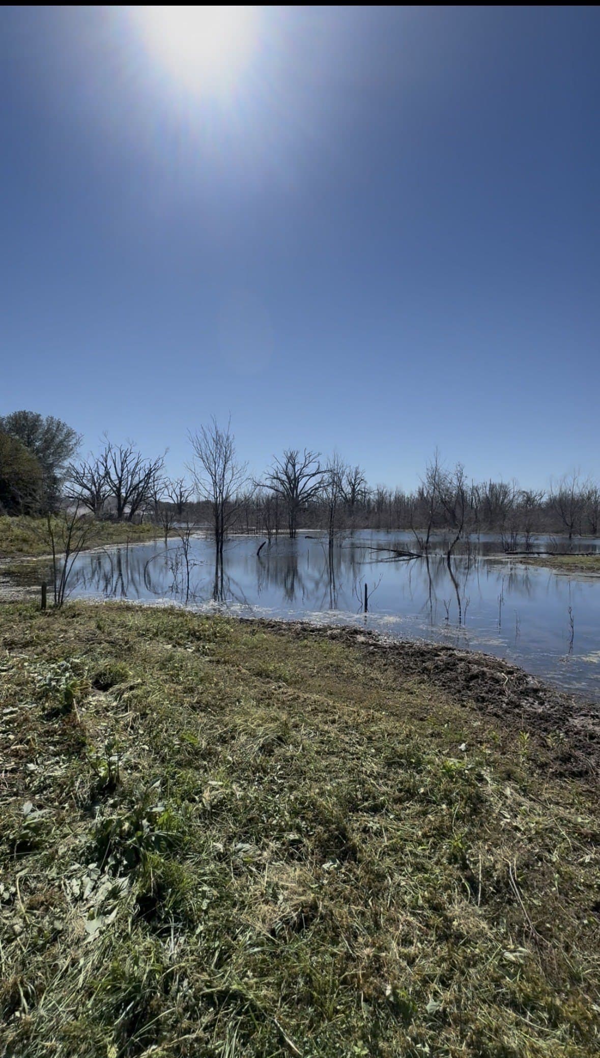 1.7 acres in Fannin County - photo 2