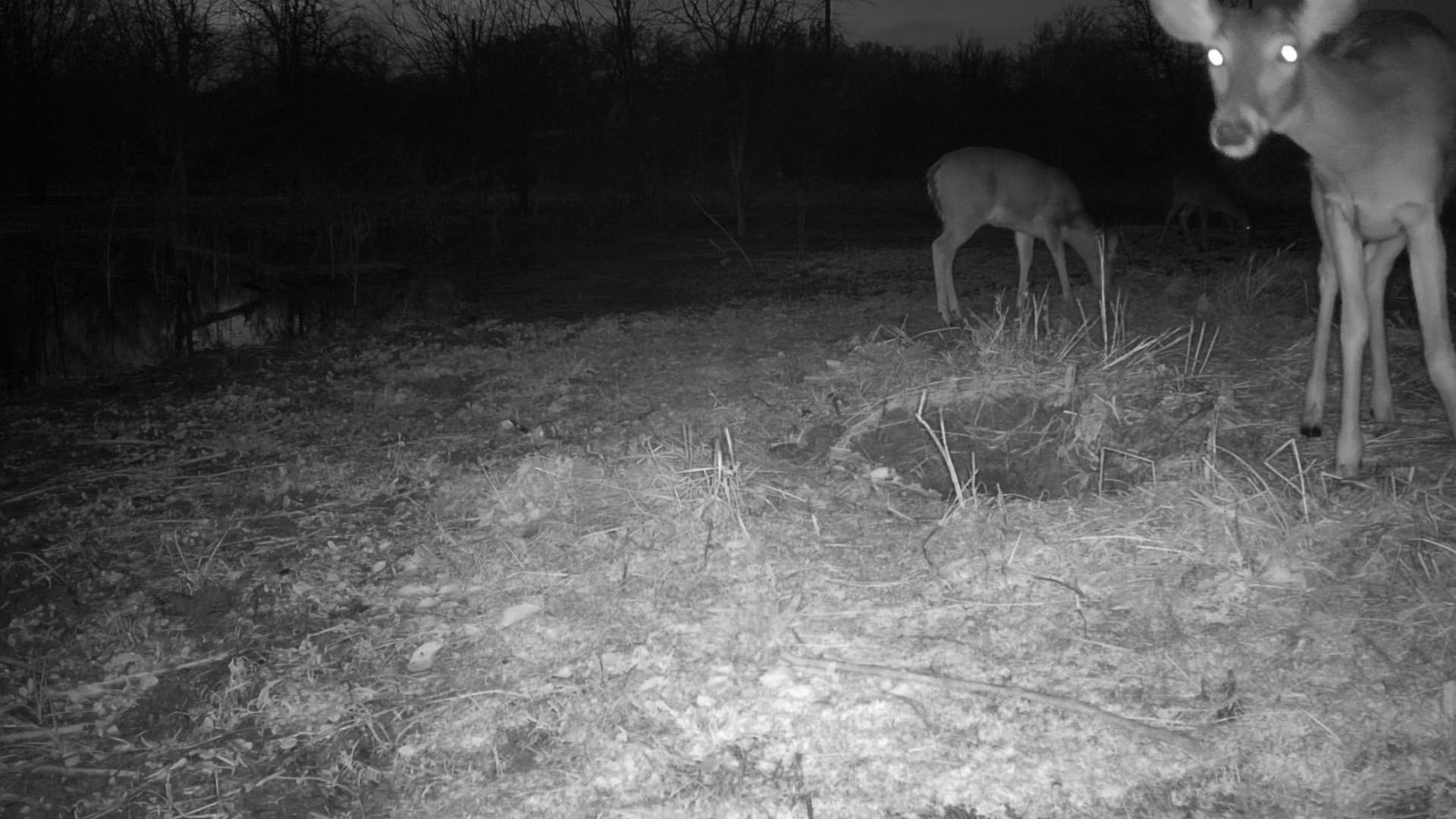 1.7 acres in Fannin County - photo 33