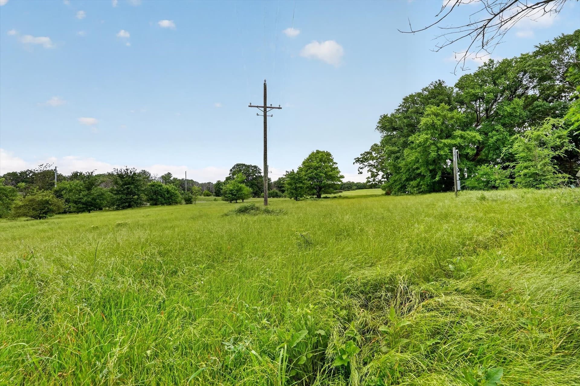 1.7 acres in Fannin County - photo 14