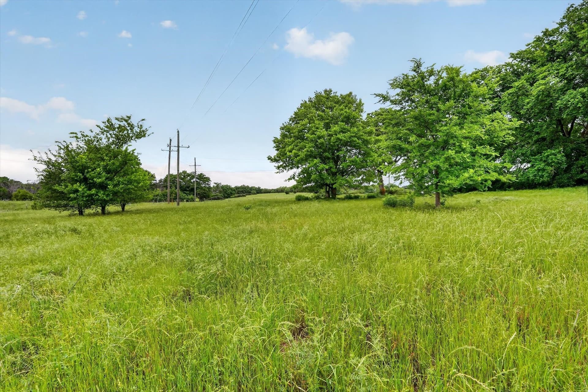 1.7 acres in Fannin County - photo 10