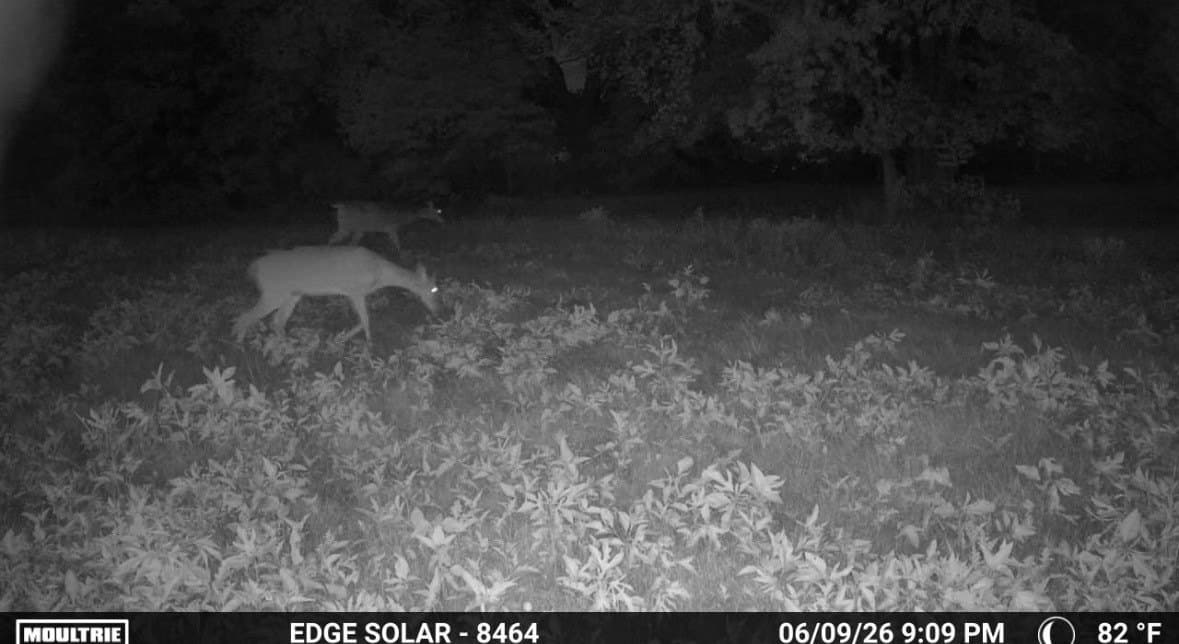 1.7 acres in Fannin County - photo 35