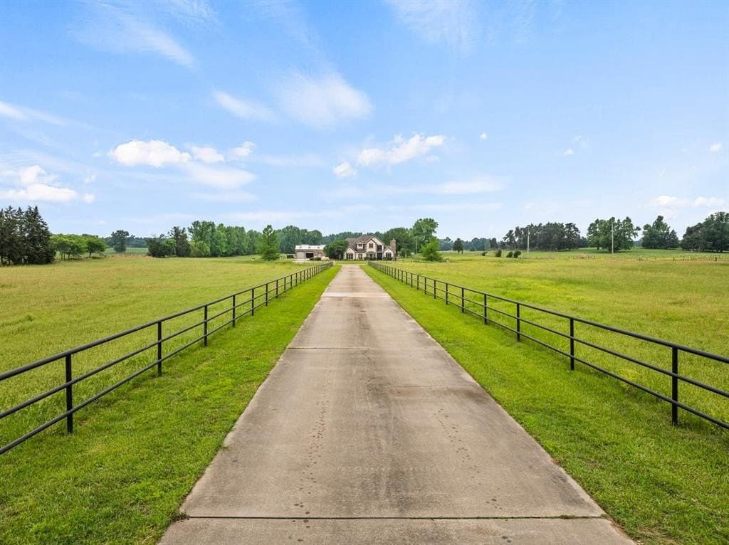 24.98 acres in Camp County gallery image 4