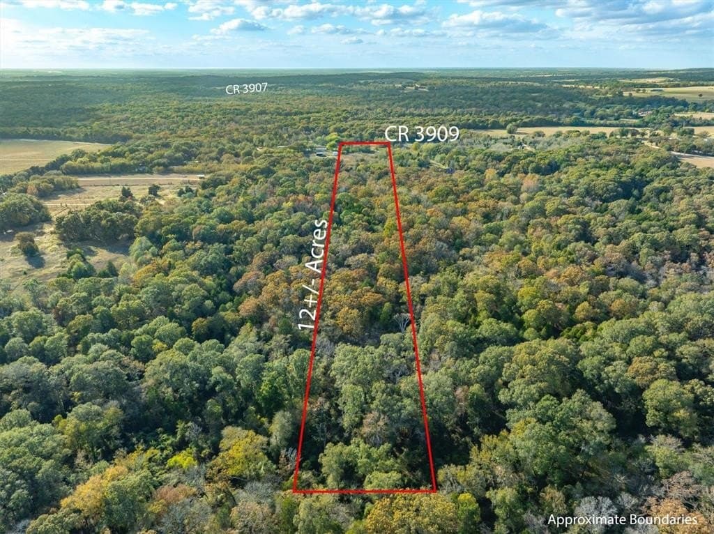 12.06 acres in Henderson County gallery image 2