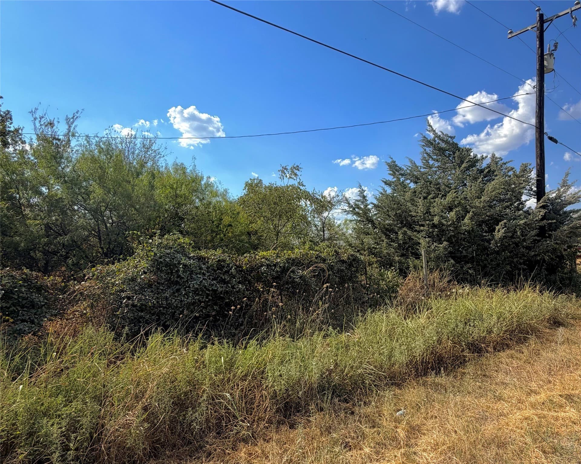 11.41 acres in Limestone County - photo 3