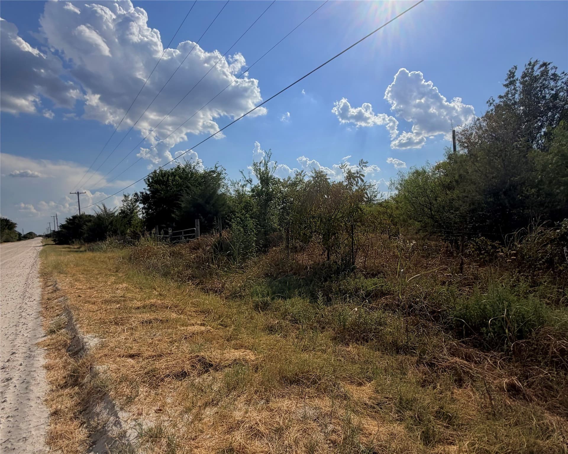 11.41 acres in Limestone County - photo 4