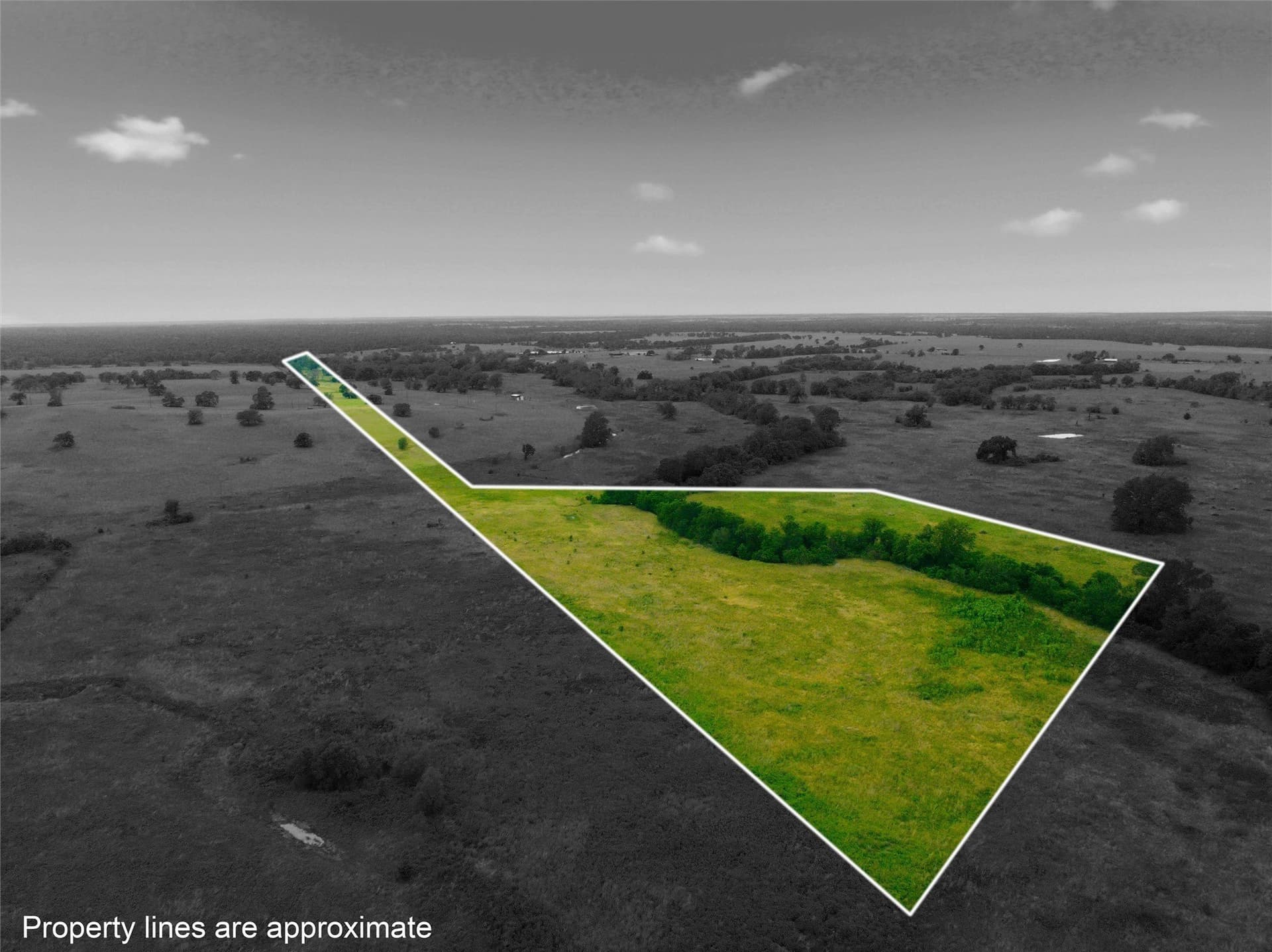 10 acres in Limestone County - photo 21
