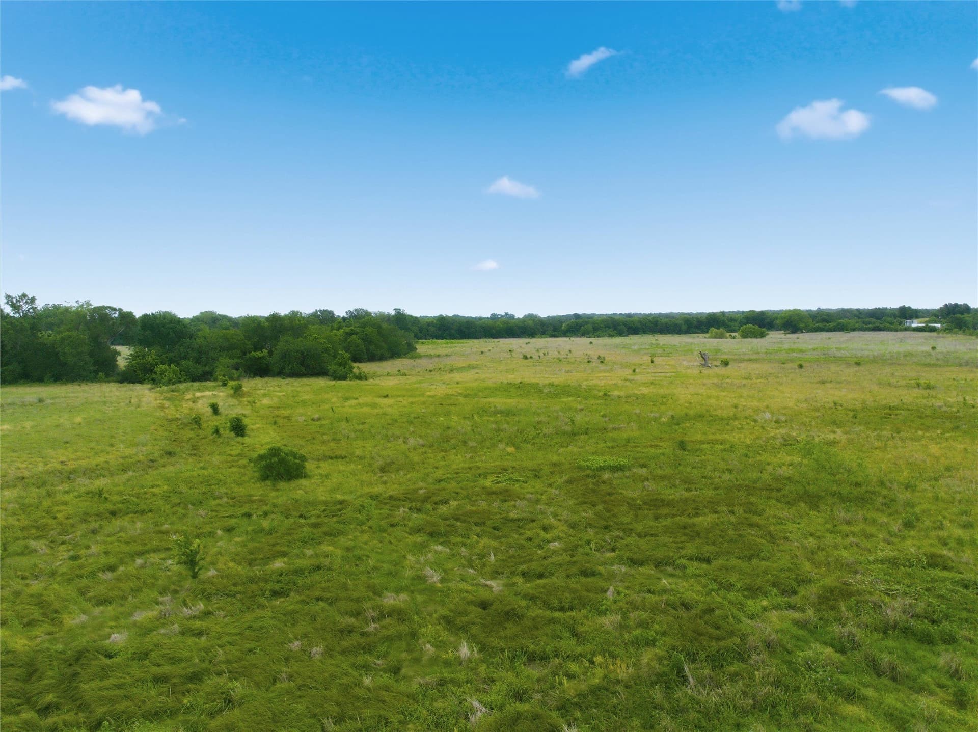 10 acres in Limestone County - photo 9