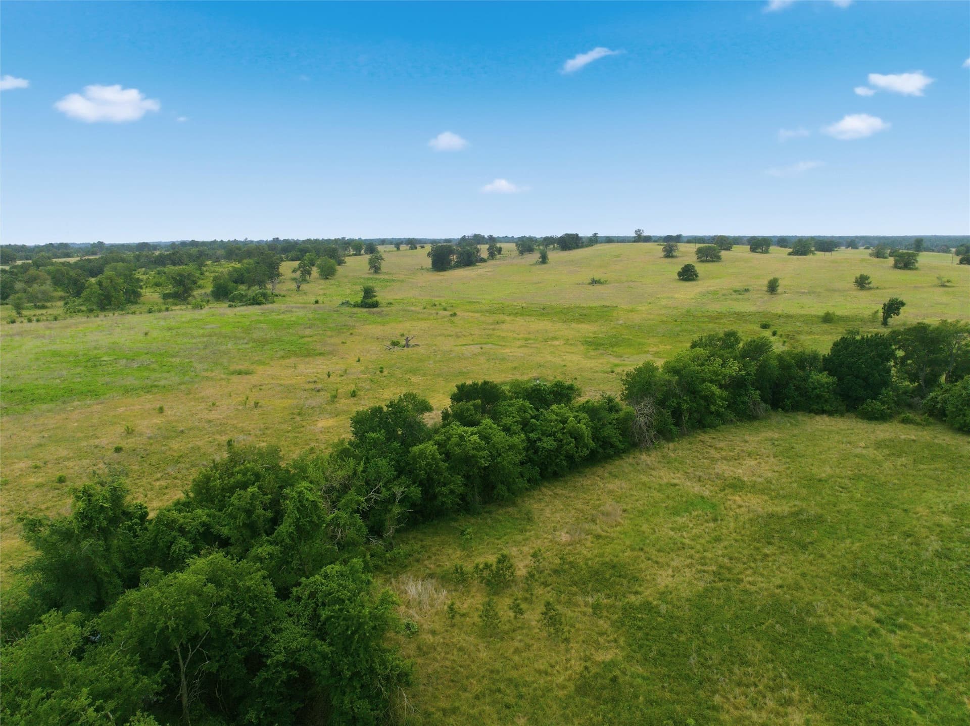 10 acres in Limestone County - photo 16