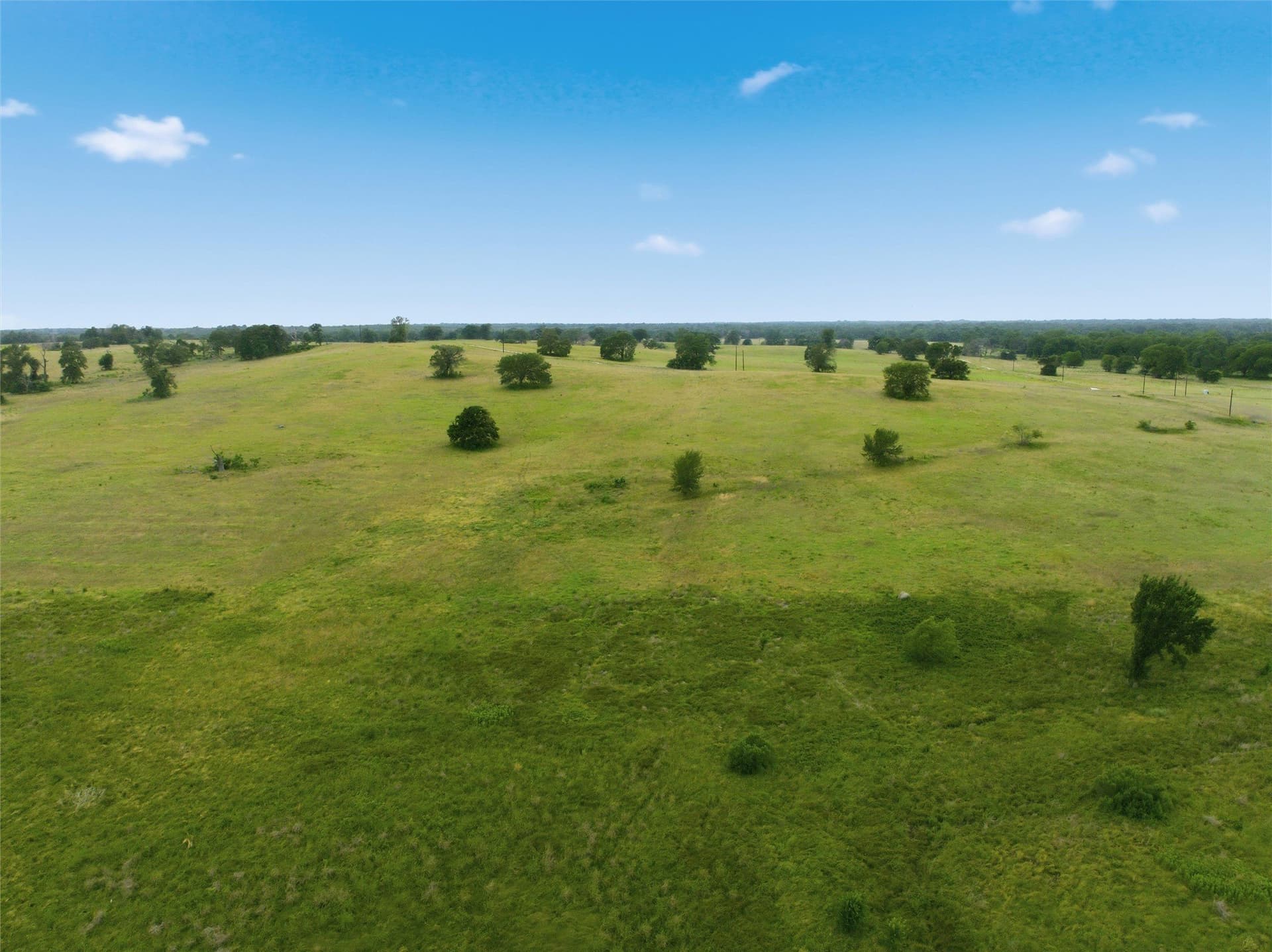10 acres in Limestone County - photo 17