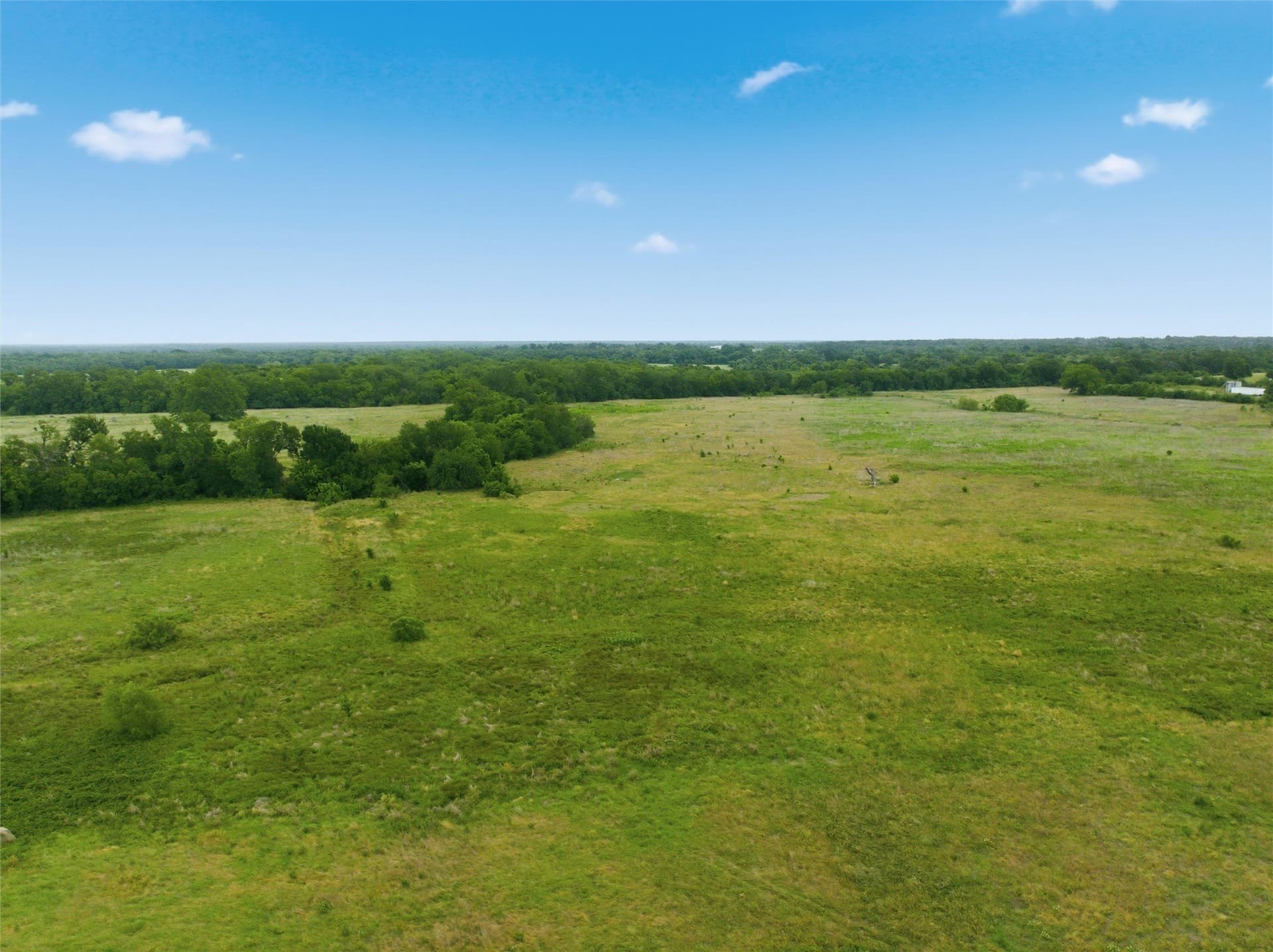 10 acres in Limestone County - photo 5