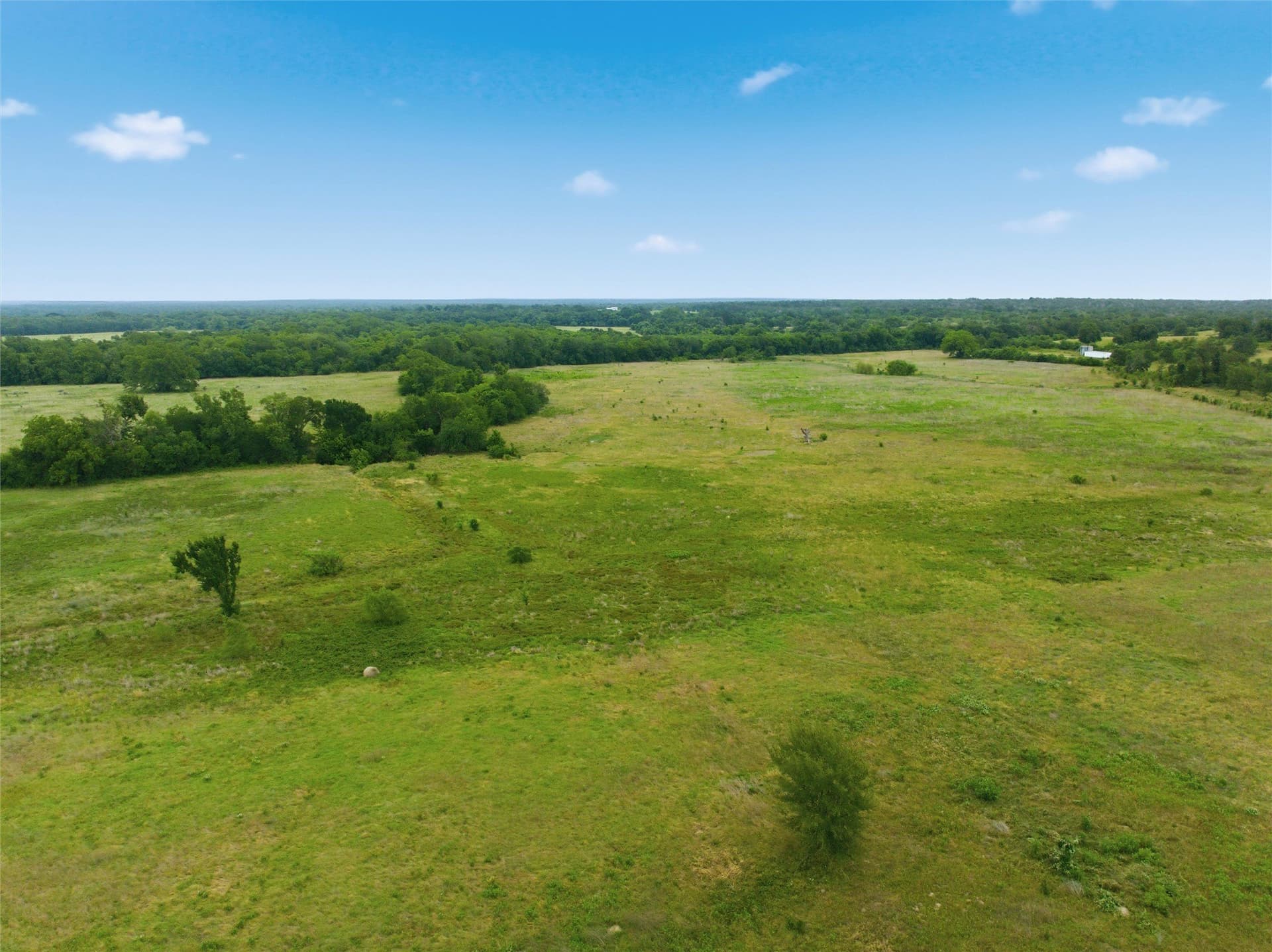 10 acres in Limestone County - photo 8