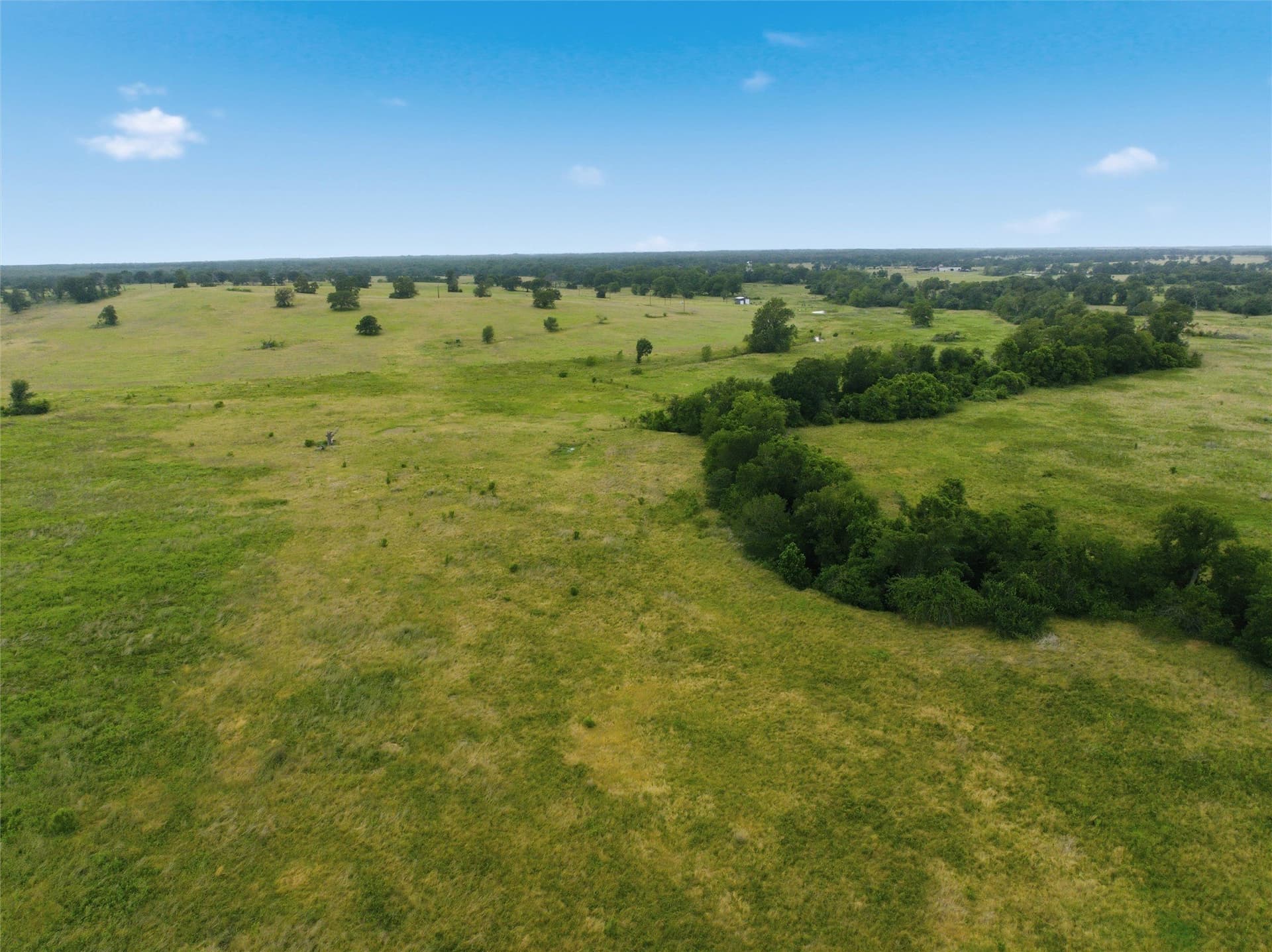 10 acres in Limestone County - photo 14
