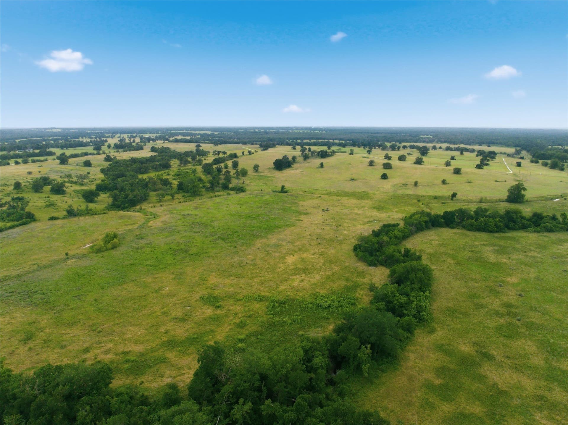 10 acres in Limestone County - photo 12
