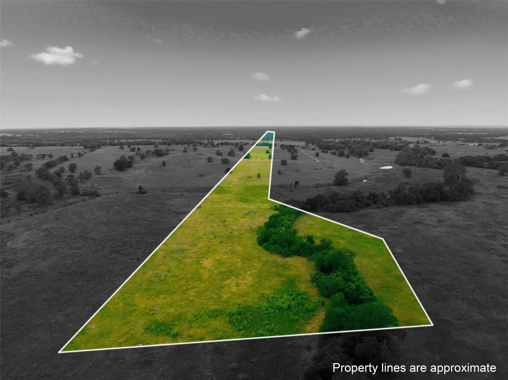 10 acres in Limestone County - photo 22