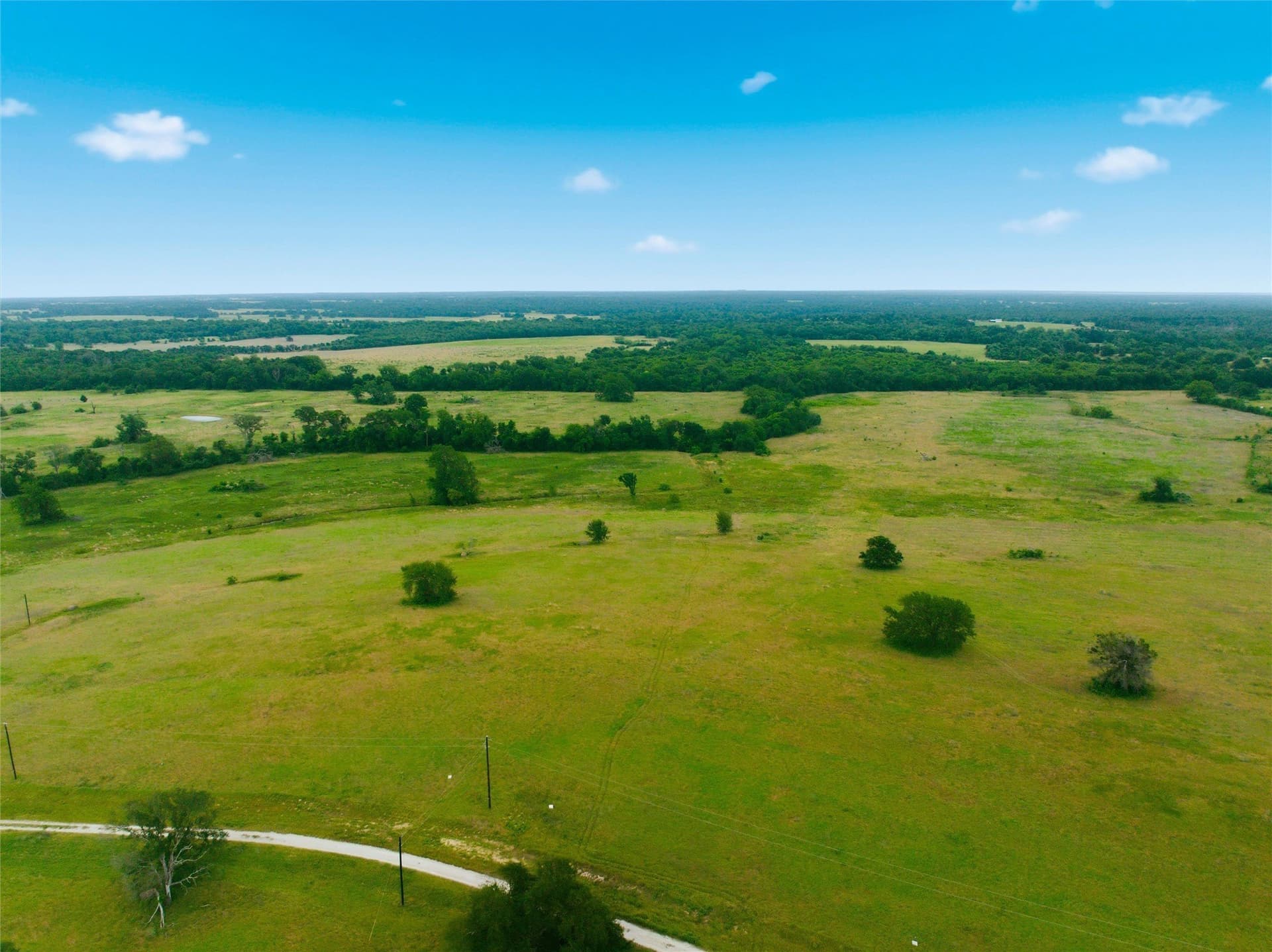10 acres in Limestone County - photo 4