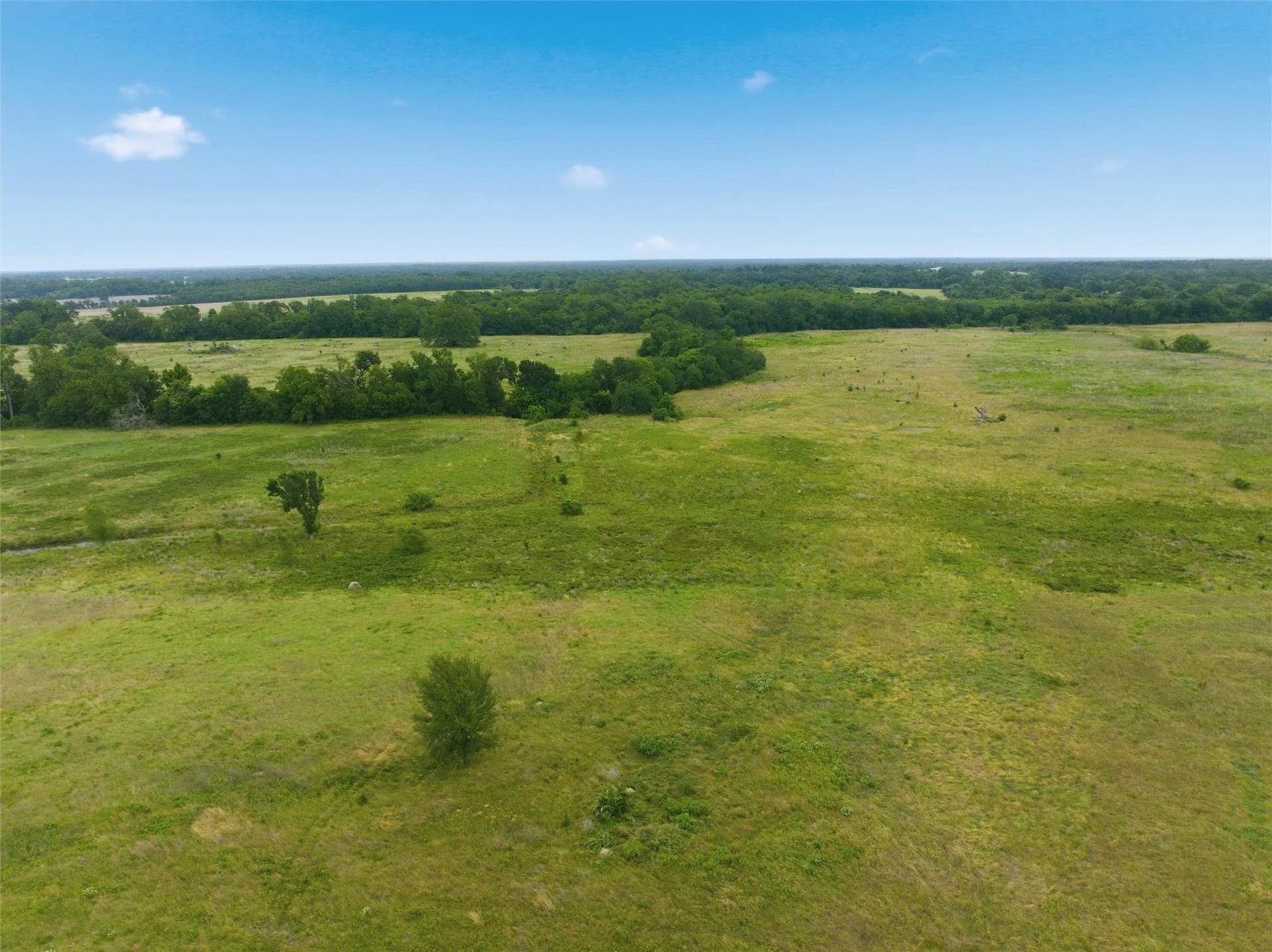 10 acres in Limestone County - photo 6