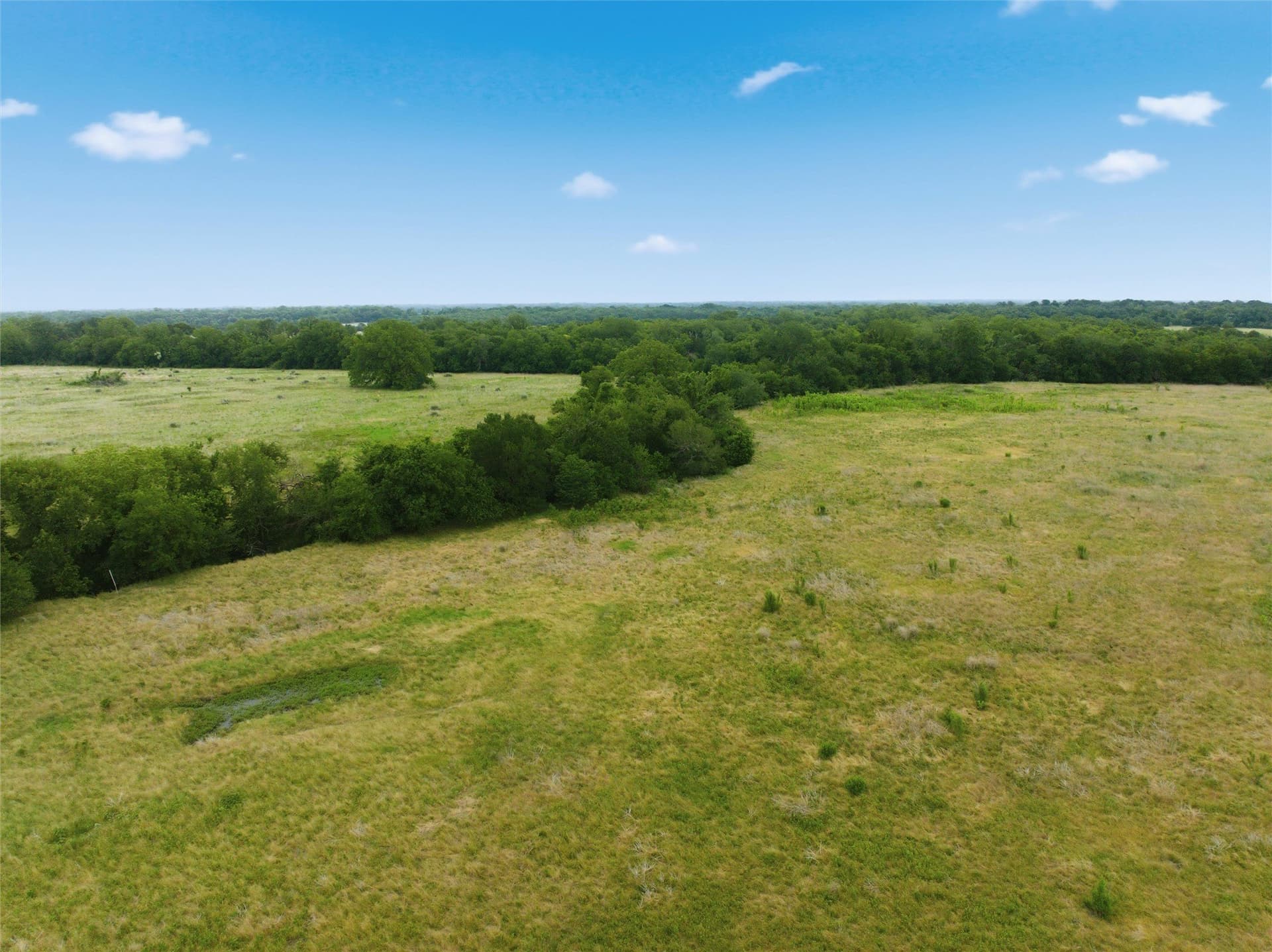 10 acres in Limestone County - photo 19