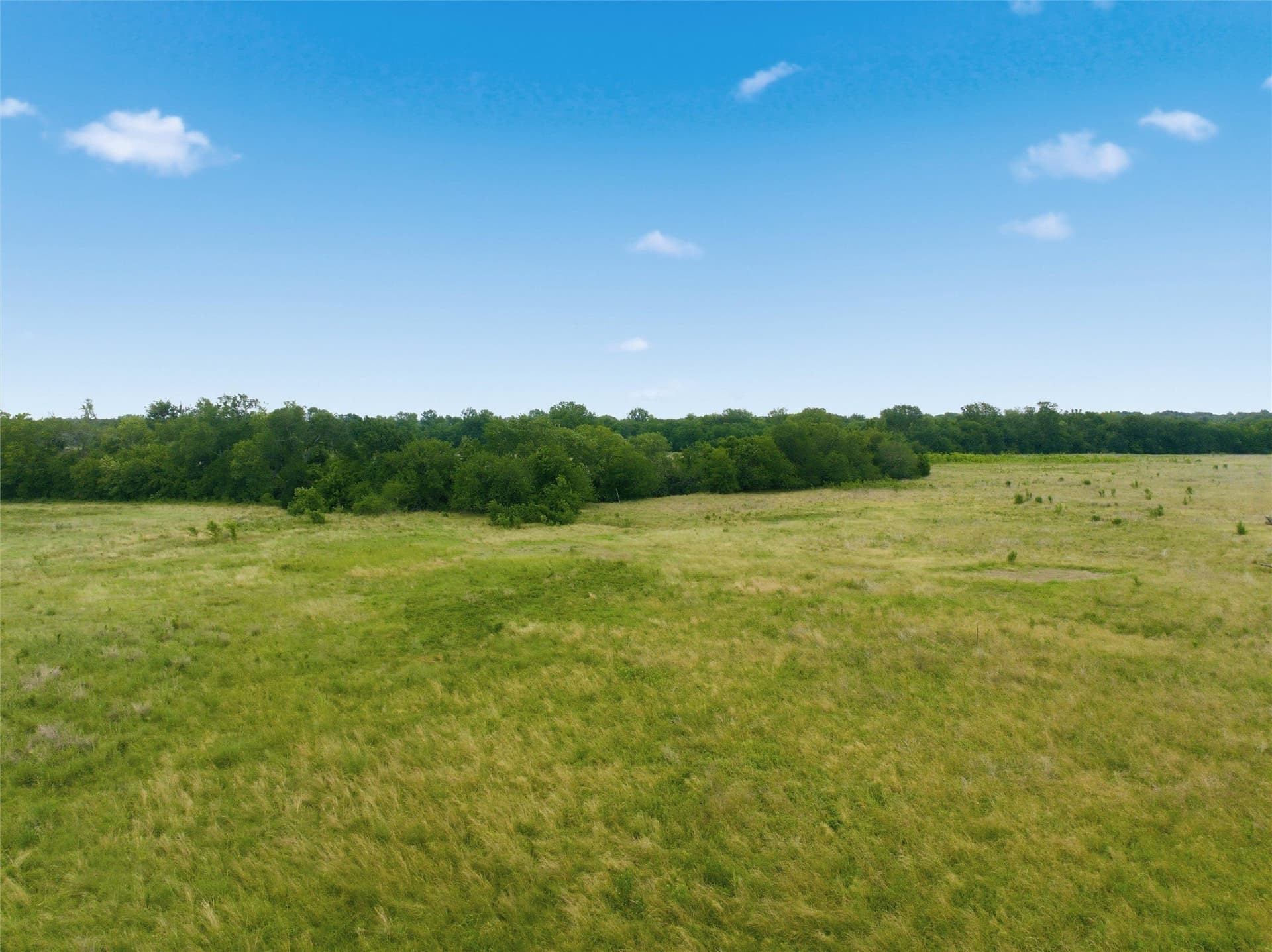 10 acres in Limestone County - photo 10