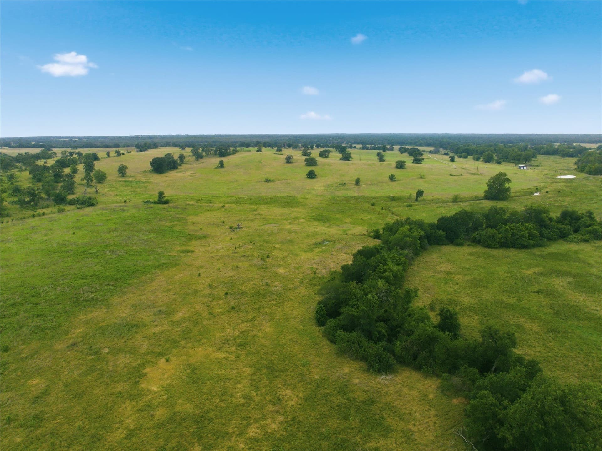 10 acres in Limestone County - photo 13