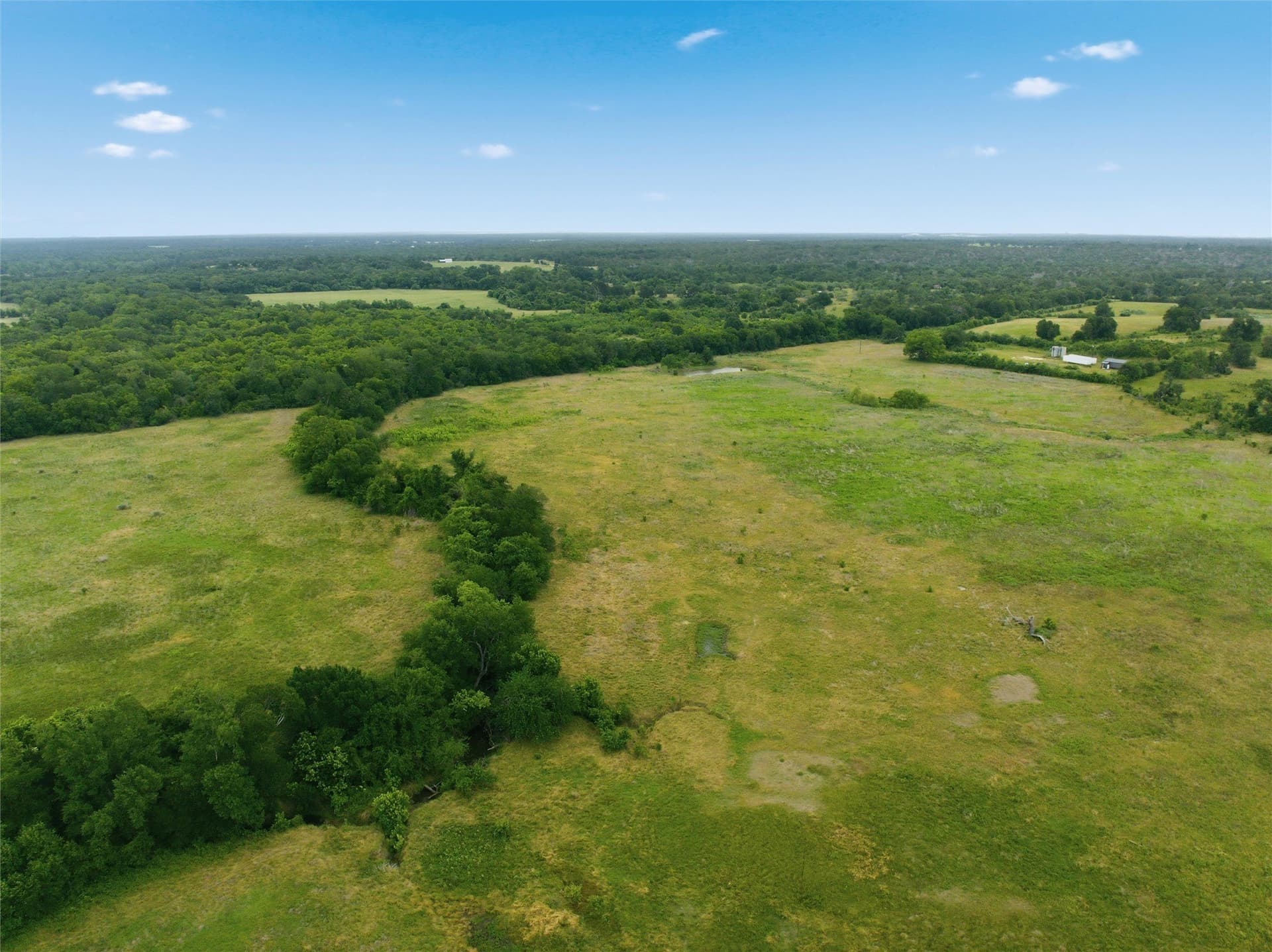 10 acres in Limestone County - photo 7