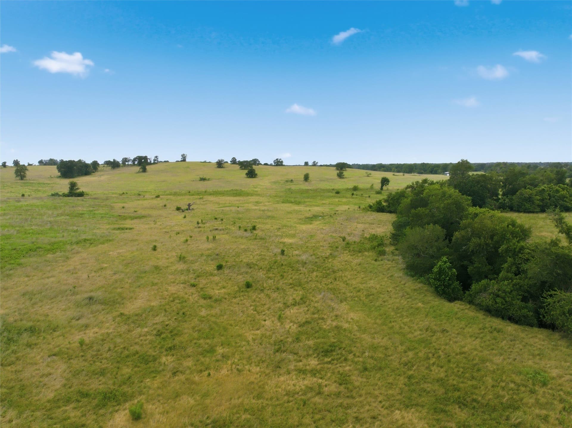 10 acres in Limestone County - photo 15