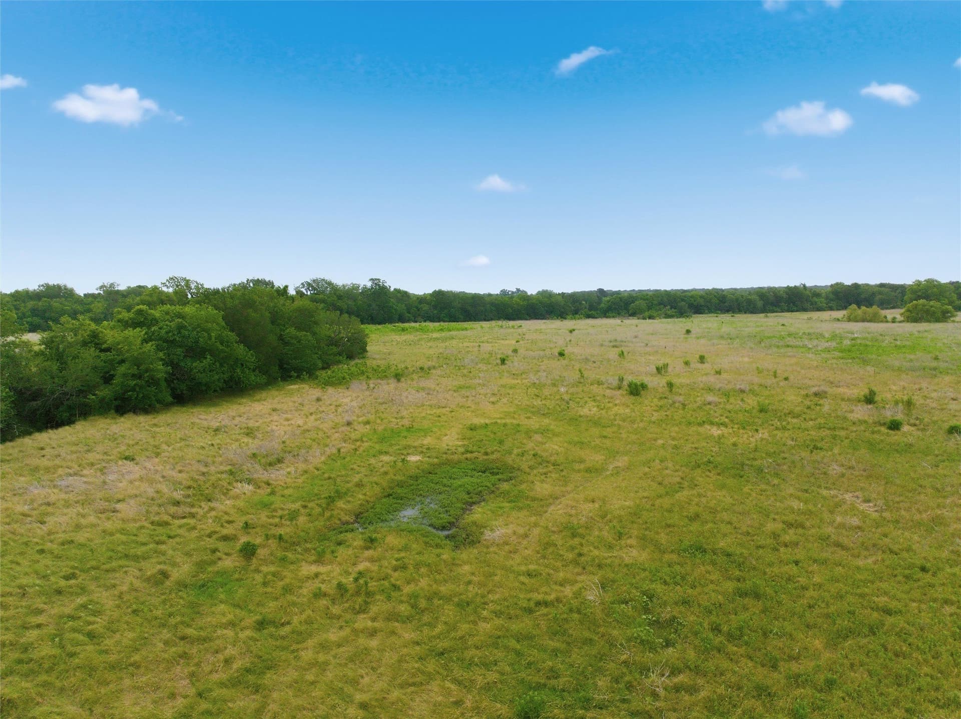 10 acres in Limestone County - photo 18