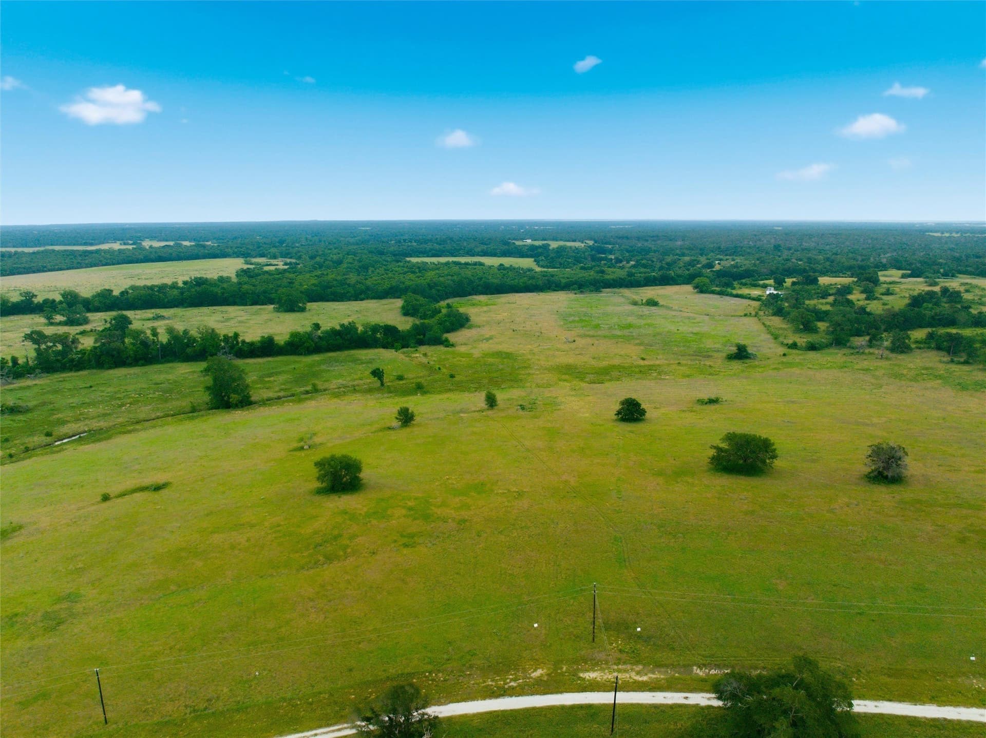 10 acres in Limestone County - photo 3